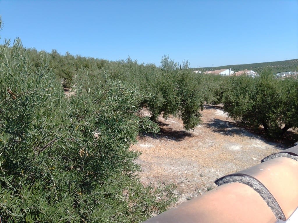 5 soverom Hus til salgs i Monte Lope Alvarez med svømmebasseng - € 114 000 (Ref: 6269478)