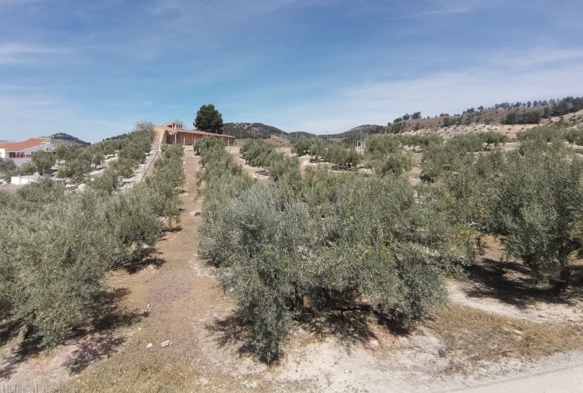 4 sovrum Finca/Hus på landet till salu i Sabariego - 69 000 € (Ref: 7622683)