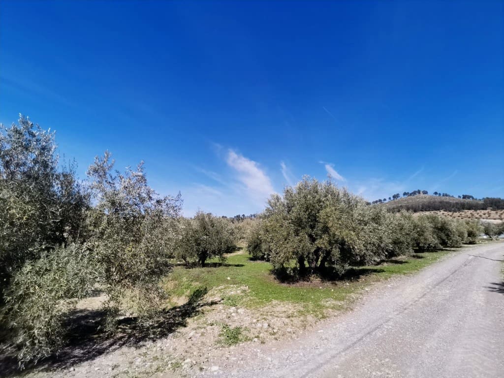 4 bedroom Finca/Country House for sale in Sabariego with garage - € 69,000 (Ref: 7622683)