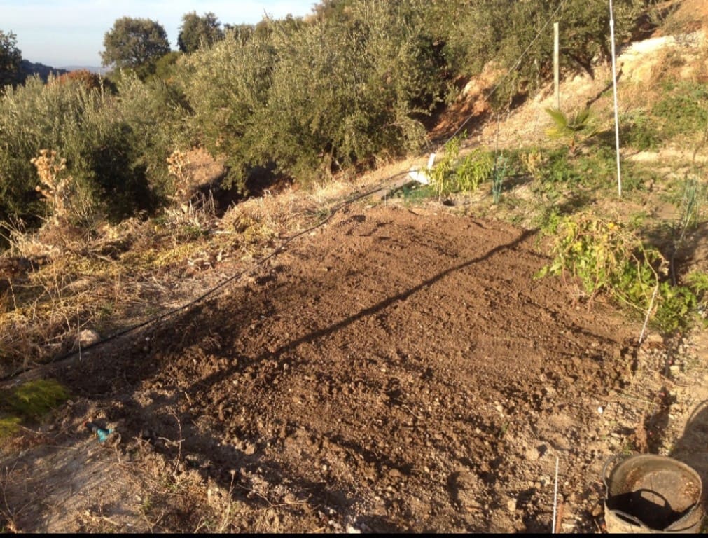 5 soverom Finca/Herregård til salgs i Fuensanta de Martos med svømmebasseng - € 249 000 (Ref: 8581122)