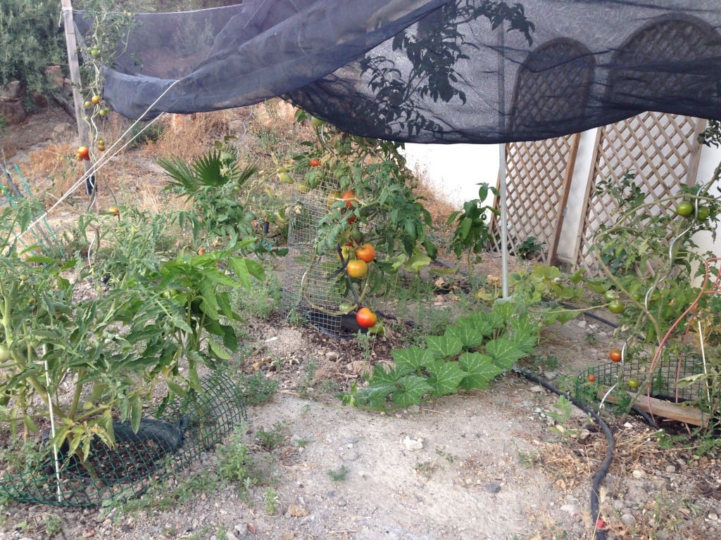 5 soverom Finca/Herregård til salgs i Fuensanta de Martos med svømmebasseng - € 249 000 (Ref: 8581122)