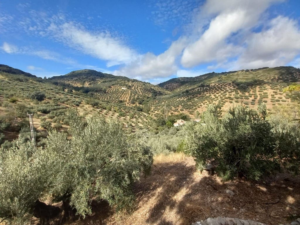 5 soverom Finca/Herregård til salgs i Fuensanta de Martos med svømmebasseng - € 249 000 (Ref: 8581122)