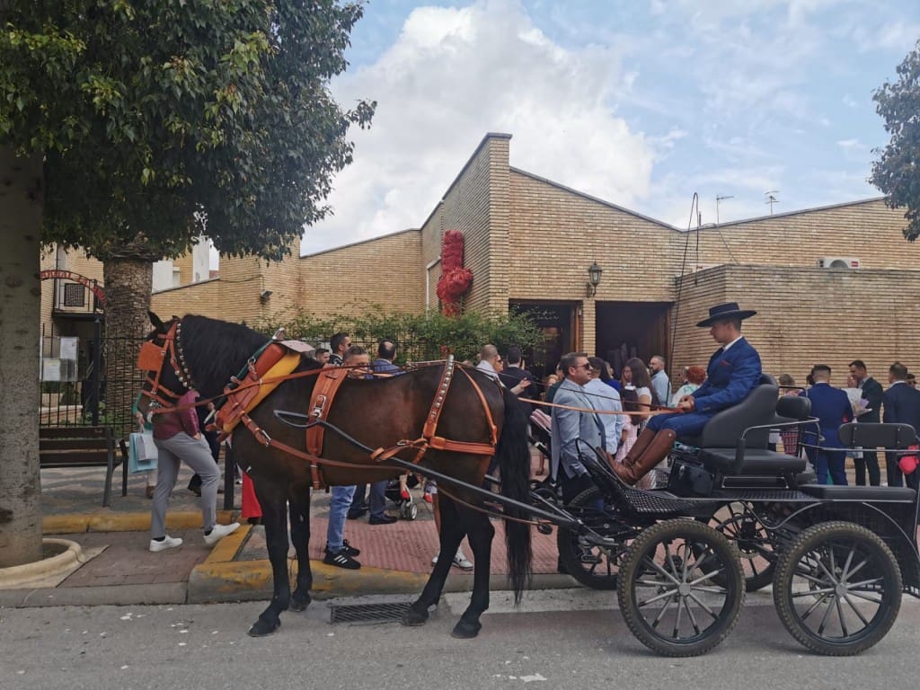 2 soveværelse Byhus til salg i Martos med swimmingpool - € 20.000 (Ref: 8823366)