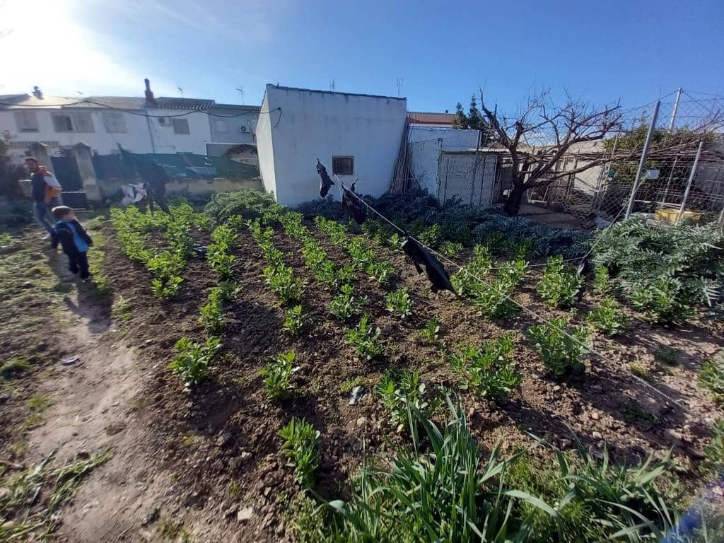 4 soveværelse Finca/Landehus til salg i Monte Lope Alvarez - € 78.000 (Ref: 8879318)