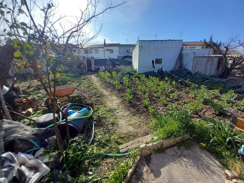 4 soveværelse Finca/Landehus til salg i Monte Lope Alvarez - € 78.000 (Ref: 8879318)