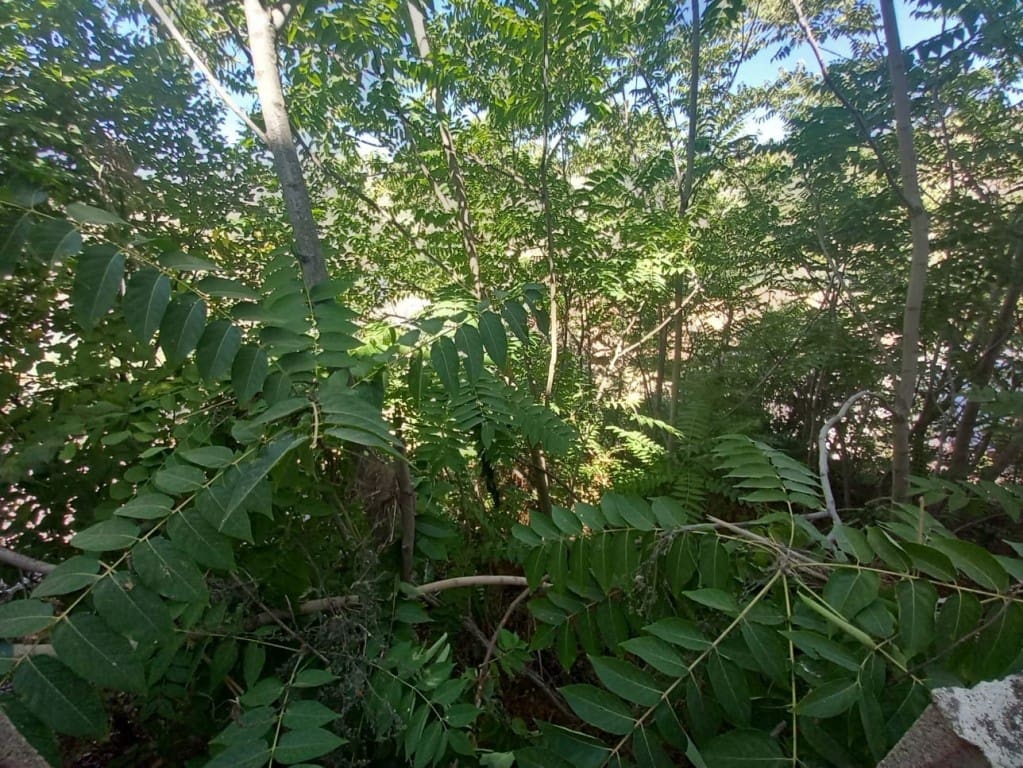 3 soverom Hus til salgs i Castillo de Locubin med svømmebasseng - € 110 000 (Ref: 9257951)