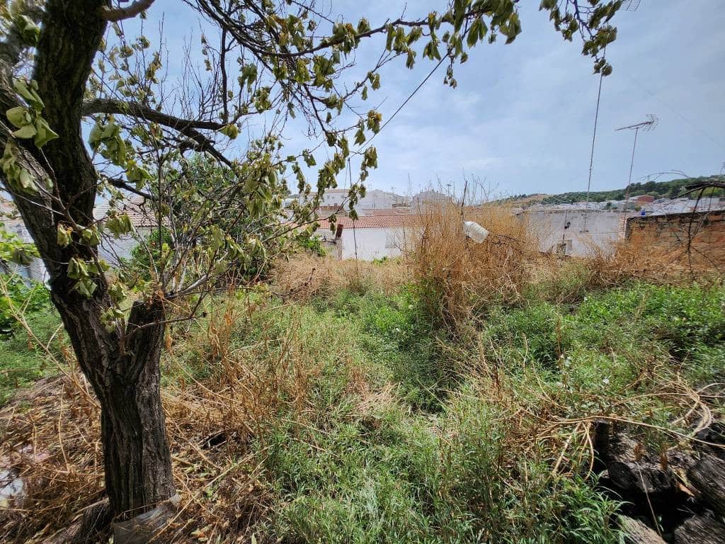 5 makuuhuone Omakotitalo myytävänä paikassa Santiago de Calatrava - 27 000 € (Ref: 9356740)