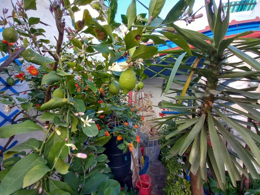 3 soverom Hus til salgs i Castillo de Locubin med svømmebasseng - € 110 000 (Ref: 9428764)