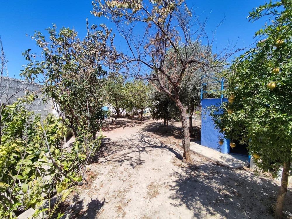 3 sypialnia Dom na sprzedaż w Rute z basenem - 162 000 € (Ref: 9558667)