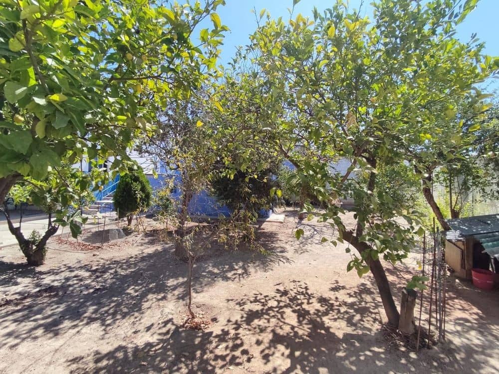 3 sypialnia Dom na sprzedaż w Rute z basenem - 162 000 € (Ref: 9558667)