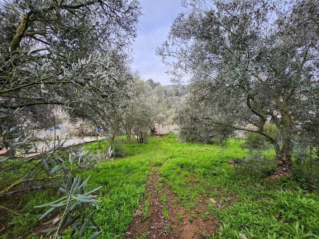 4 bedroom Townhouse for sale in Zambra with garage - € 75,000 (Ref: 9558670)