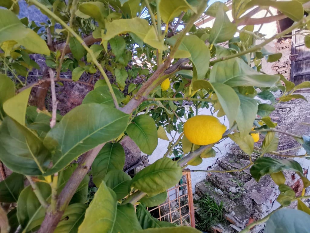 5 soverom Hus til salgs i Sabariego - € 58 000 (Ref: 9611950)