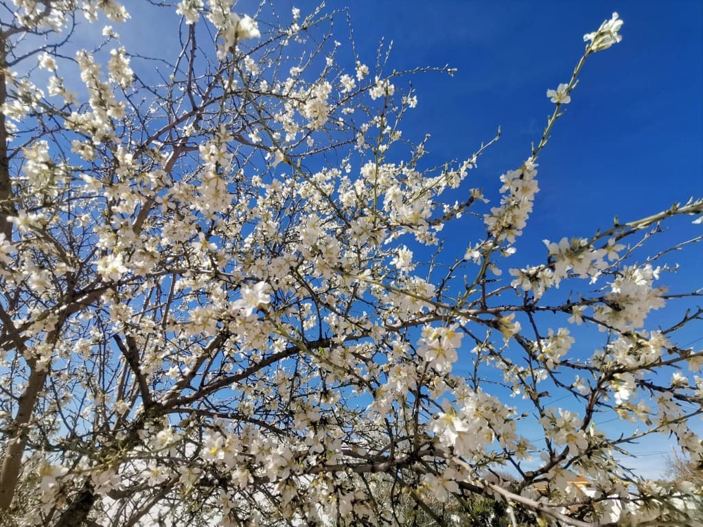 5 soverom Hus til salgs i Sabariego - € 58 000 (Ref: 9611950)