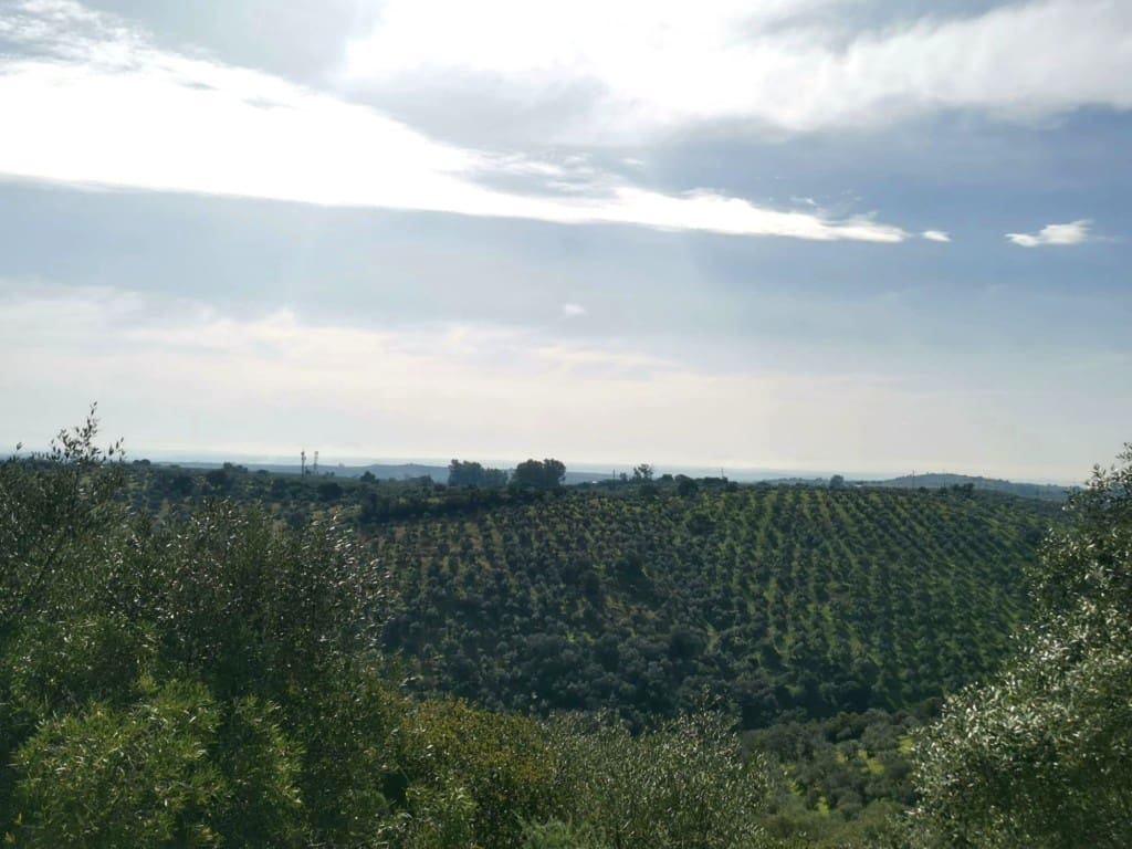 3 camera da letto Finca/Casa di Campagna in vendita in Montoro - 150.000 € (Rif: 9645897)