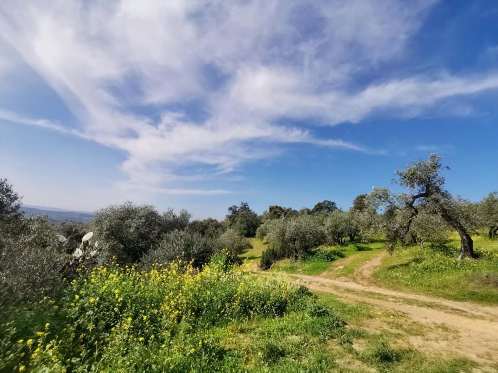 3 camera da letto Finca/Casa di Campagna in vendita in Montoro - 150.000 € (Rif: 9645897)