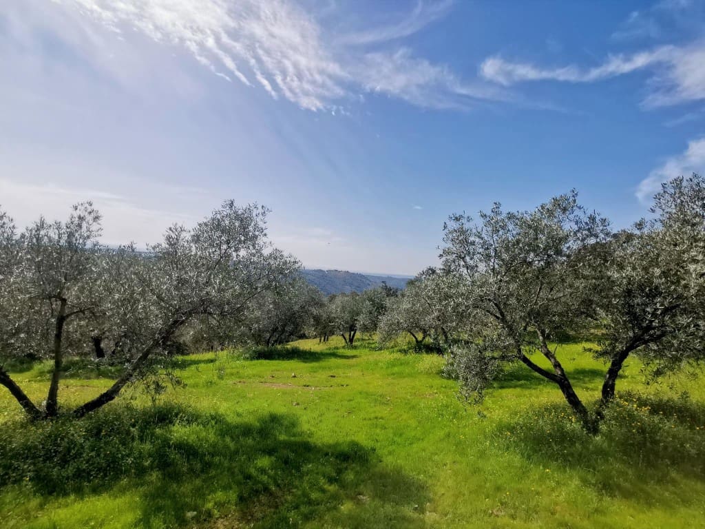 3 camera da letto Finca/Casa di Campagna in vendita in Montoro - 150.000 € (Rif: 9645897)