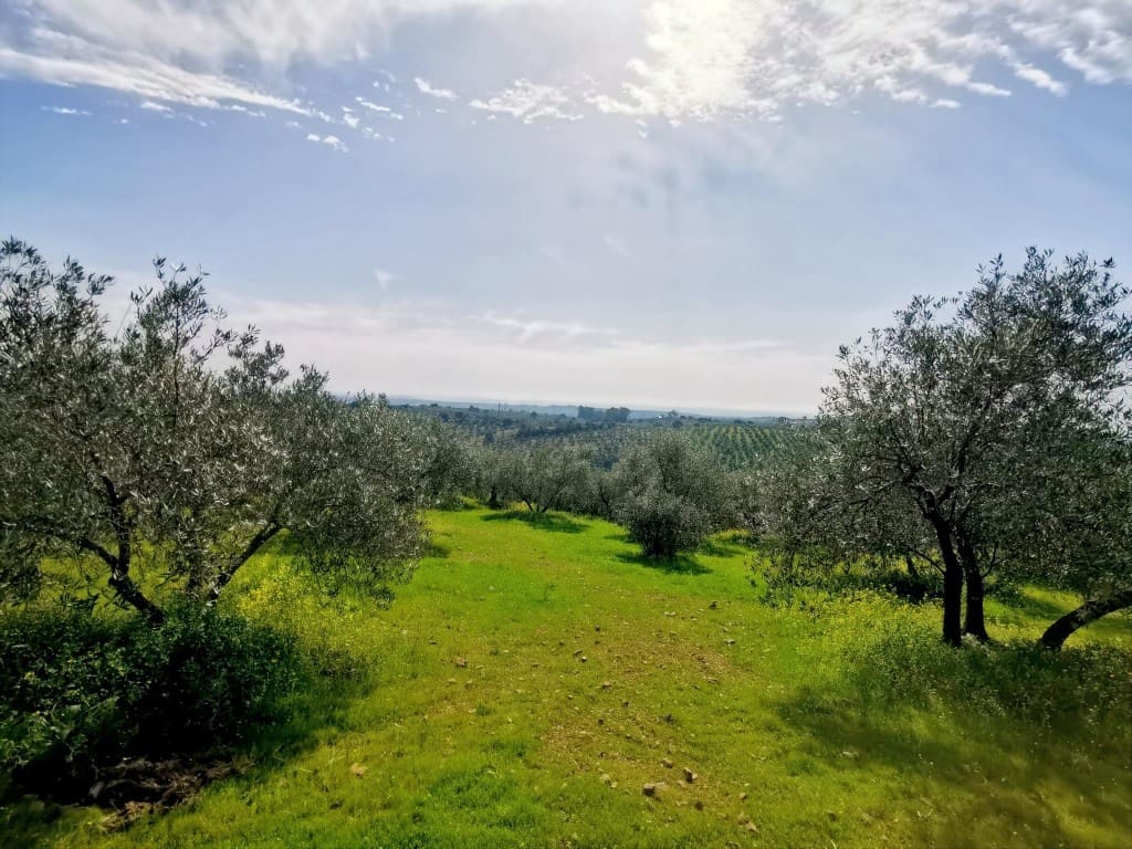 3 camera da letto Finca/Casa di Campagna in vendita in Montoro - 150.000 € (Rif: 9645897)