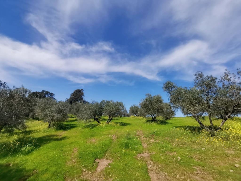 3 camera da letto Finca/Casa di Campagna in vendita in Montoro - 150.000 € (Rif: 9645897)