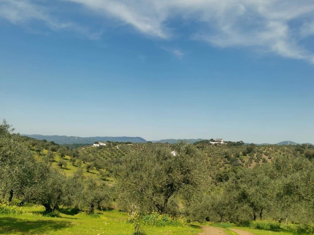 3 camera da letto Finca/Casa di Campagna in vendita in Montoro - 150.000 € (Rif: 9645897)