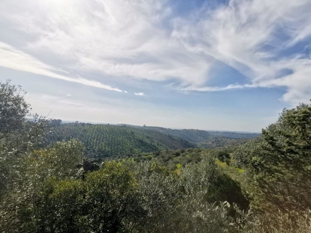 3 camera da letto Finca/Casa di Campagna in vendita in Montoro - 150.000 € (Rif: 9645897)