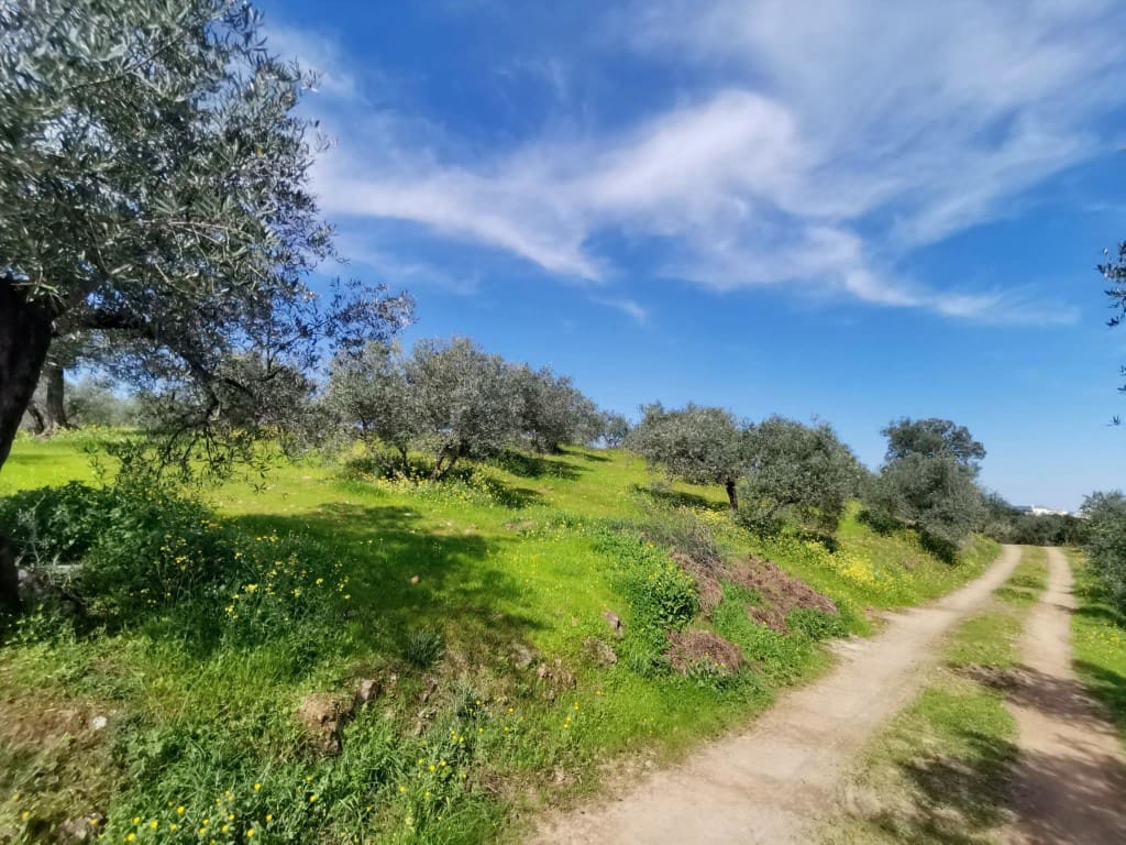 3 camera da letto Finca/Casa di Campagna in vendita in Montoro - 150.000 € (Rif: 9645897)