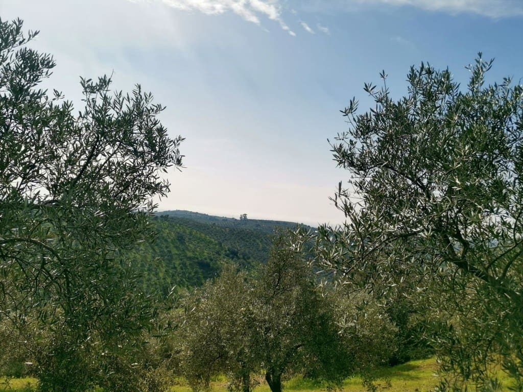 3 camera da letto Finca/Casa di Campagna in vendita in Montoro - 150.000 € (Rif: 9645897)