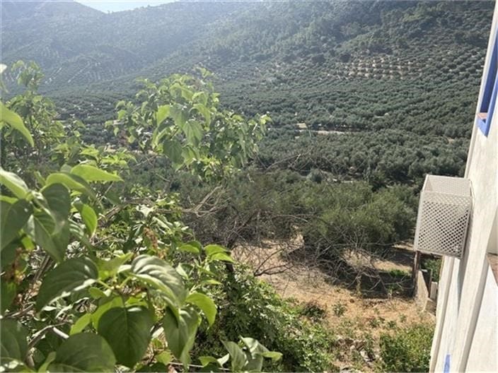 6 Zimmer Finca/Landgut zu verkaufen in Las Piedras - 60.000 € (Ref: 9652473)