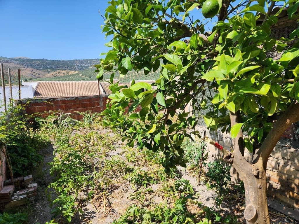 Casa de 4 habitaciones en Luque en venta - 47.000 € (Ref: 9731188)