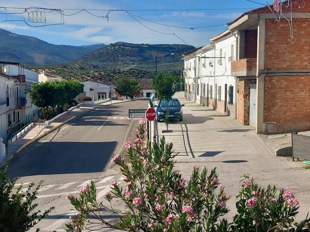 Casa de 5 habitaciones en Ventas del Carrizal en venta - 80.000 € (Ref: 9821549)