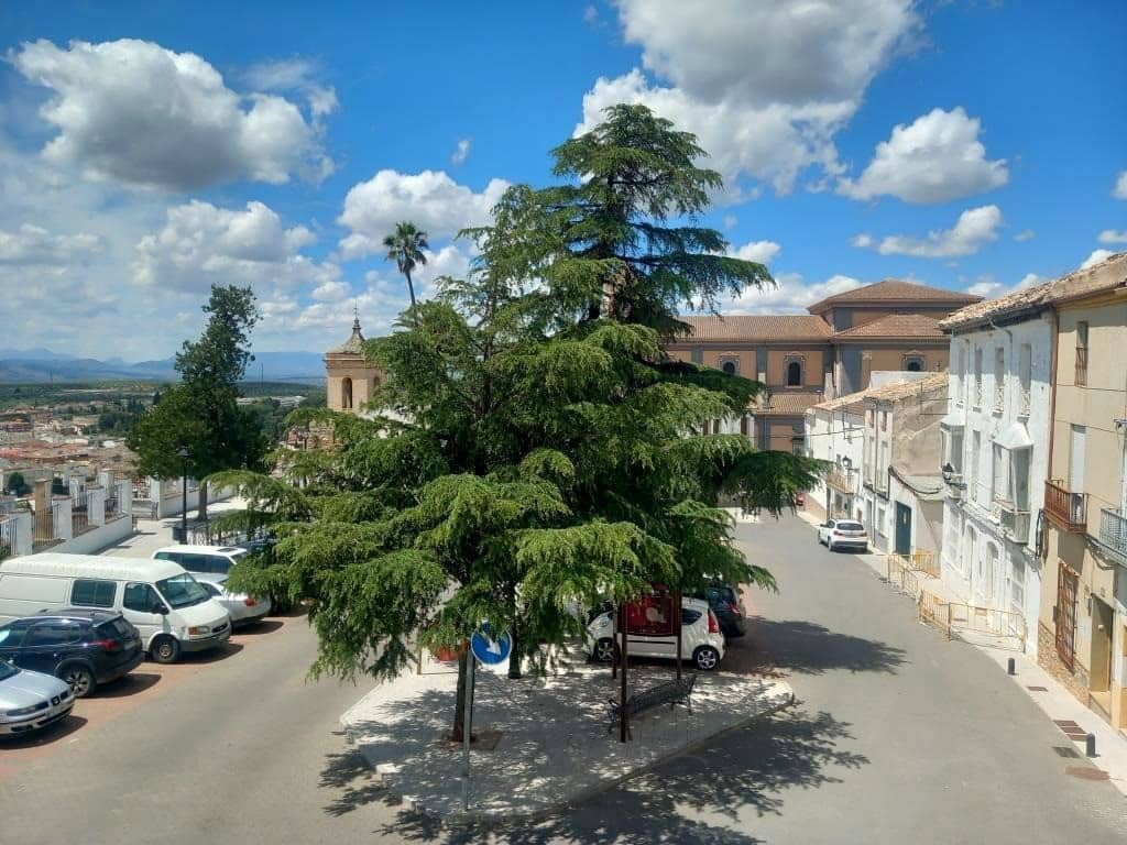 4 quarto Casa em Banda para venda em Martos - 79 000 € (Ref: 9895225)