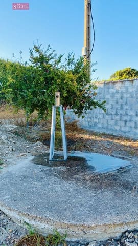 Byggetomt til salgs i El Palmar, Vejer de la Frontera - € 149 000 (Ref: 10004156)