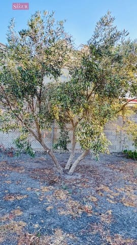 Byggetomt til salgs i El Palmar, Vejer de la Frontera - € 149 000 (Ref: 10004156)