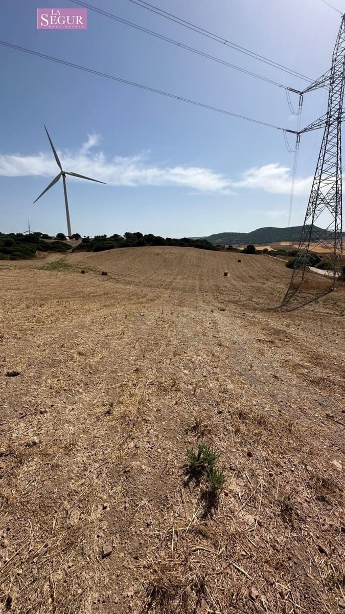 Grond te koop in Vejer de la Frontera - € 550.000 (Ref: 10035367)