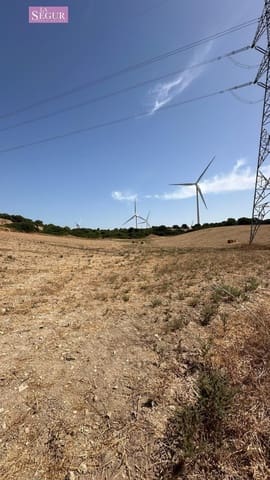 Grond te koop in Vejer de la Frontera - € 550.000 (Ref: 10035367)