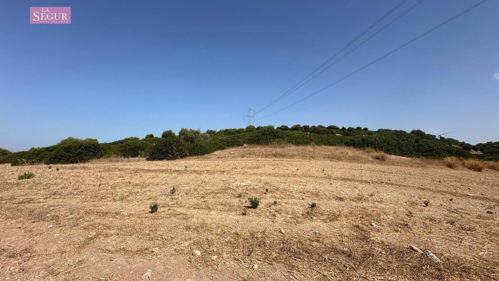 Grond te koop in Vejer de la Frontera - € 550.000 (Ref: 10035367)