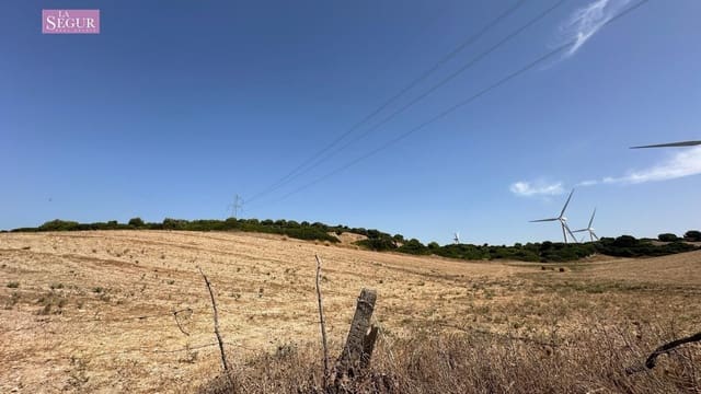 Grond te koop in Vejer de la Frontera - € 550.000 (Ref: 10035367)