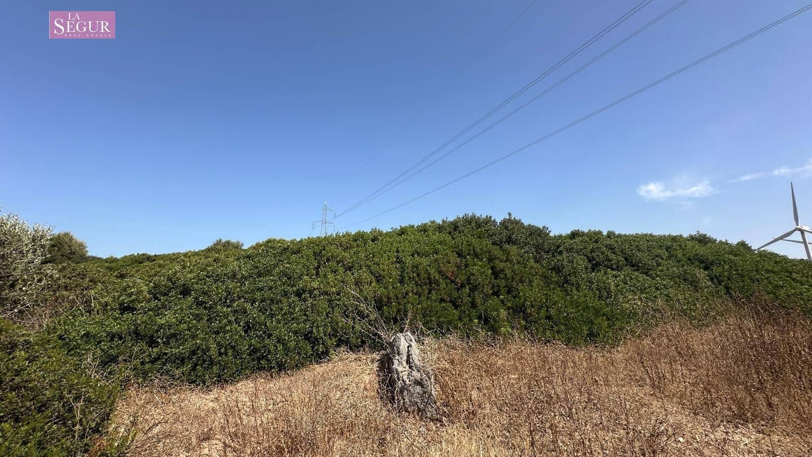 Grond te koop in Vejer de la Frontera - € 550.000 (Ref: 10035367)
