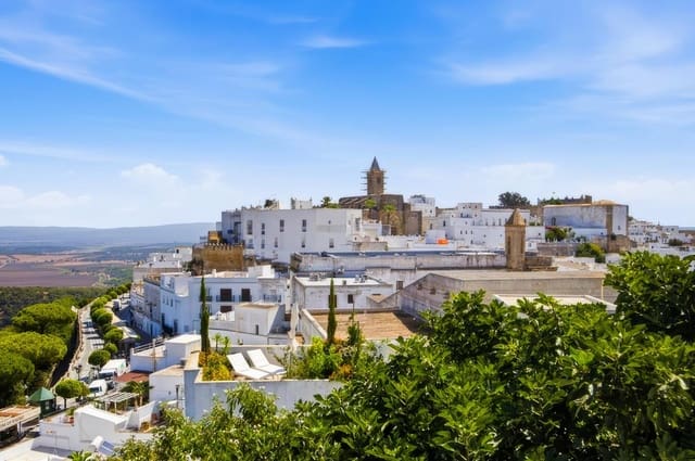 1 chambre Appartement à vendre à Vejer de la Frontera - 189 000 € (Ref: 10049263)