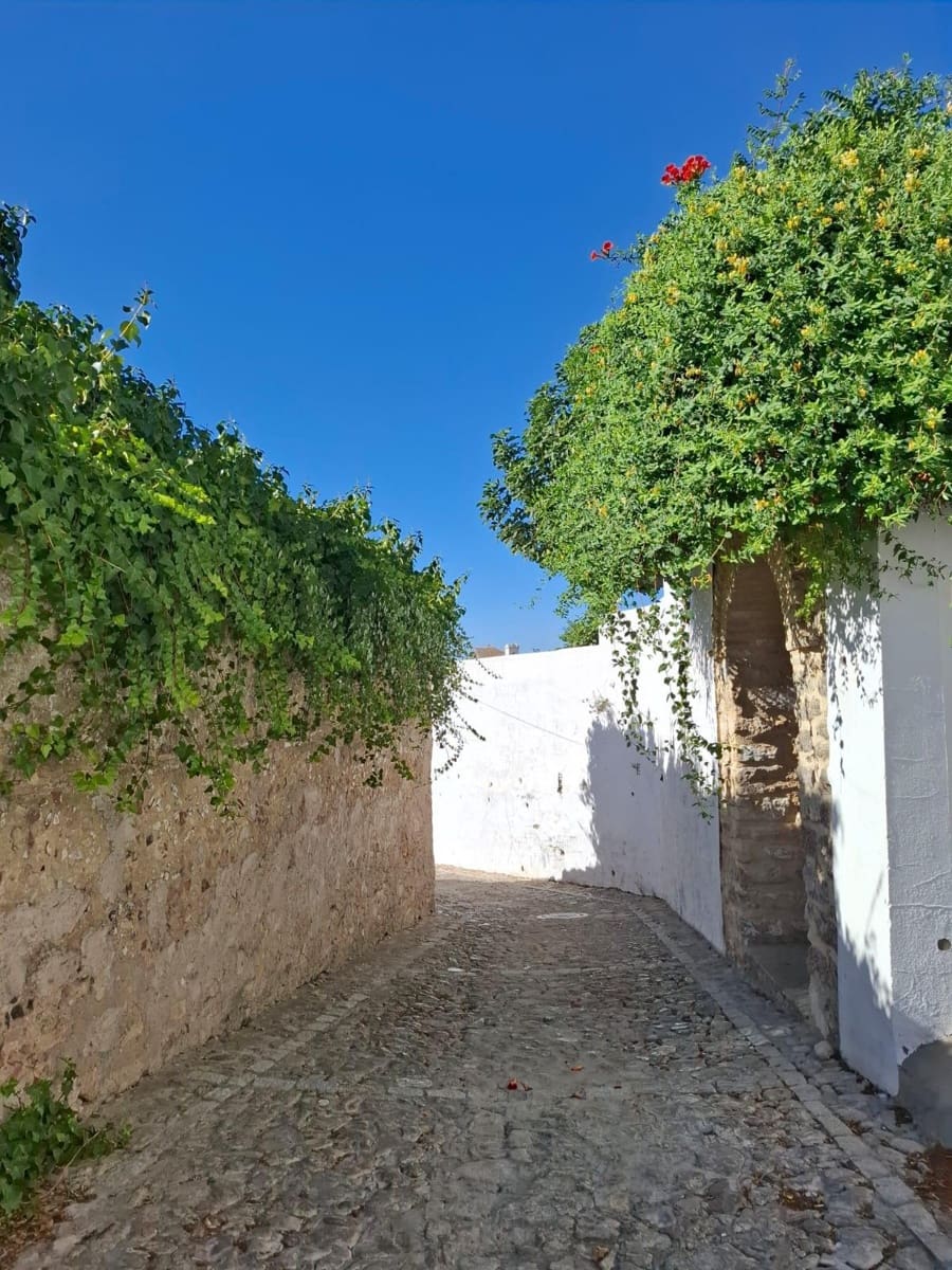 Byggegrund til salg i Medina-Sidonia - € 95.000 (Ref: 10062245)