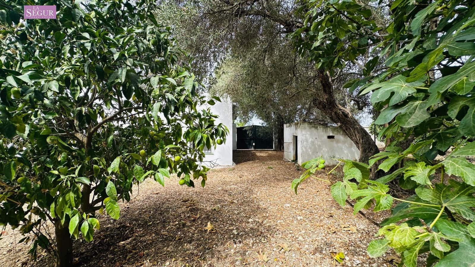 Chalet de 3 habitaciones en Conil de la Frontera en venta con garaje - 300.000 € (Ref: 10062247)