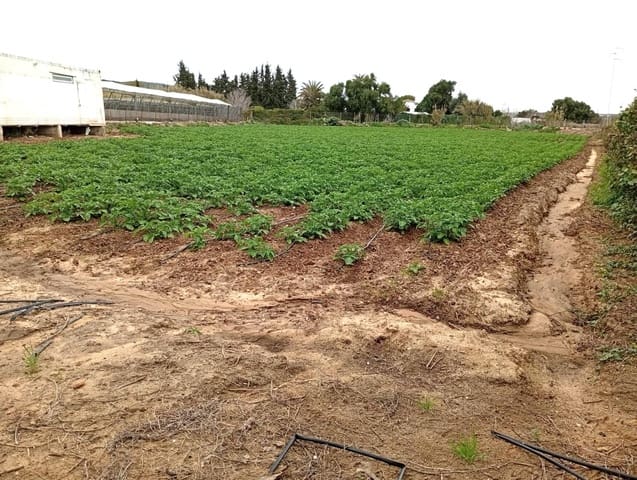 Bauplatz zu verkaufen in Barbate - 310.000 € (Ref: 10098397)