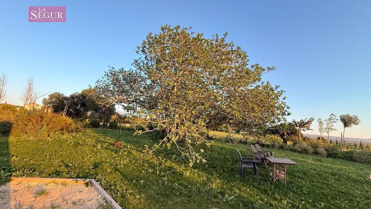 1 soveværelse Finca/Landehus til salg i Conil de la Frontera - € 690.000 (Ref: 10109682)