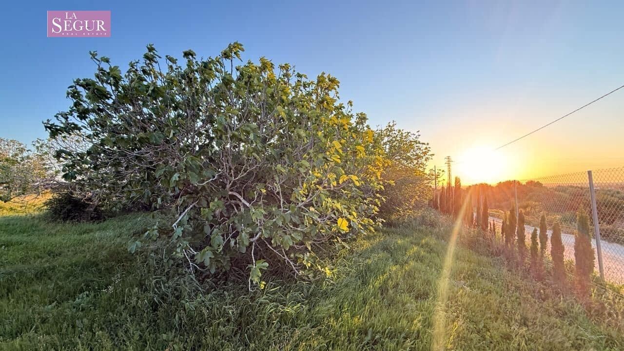 1 soveværelse Finca/Landehus til salg i Conil de la Frontera - € 690.000 (Ref: 10109682)