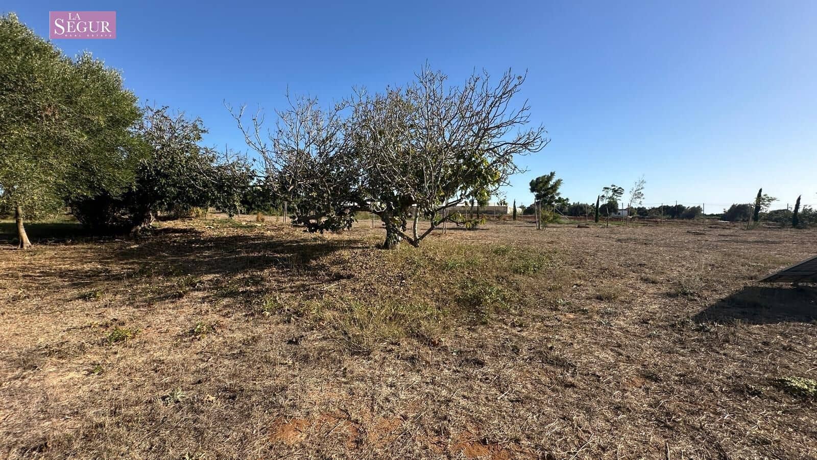 1 soveværelse Finca/Landehus til salg i Conil de la Frontera - € 690.000 (Ref: 10109682)