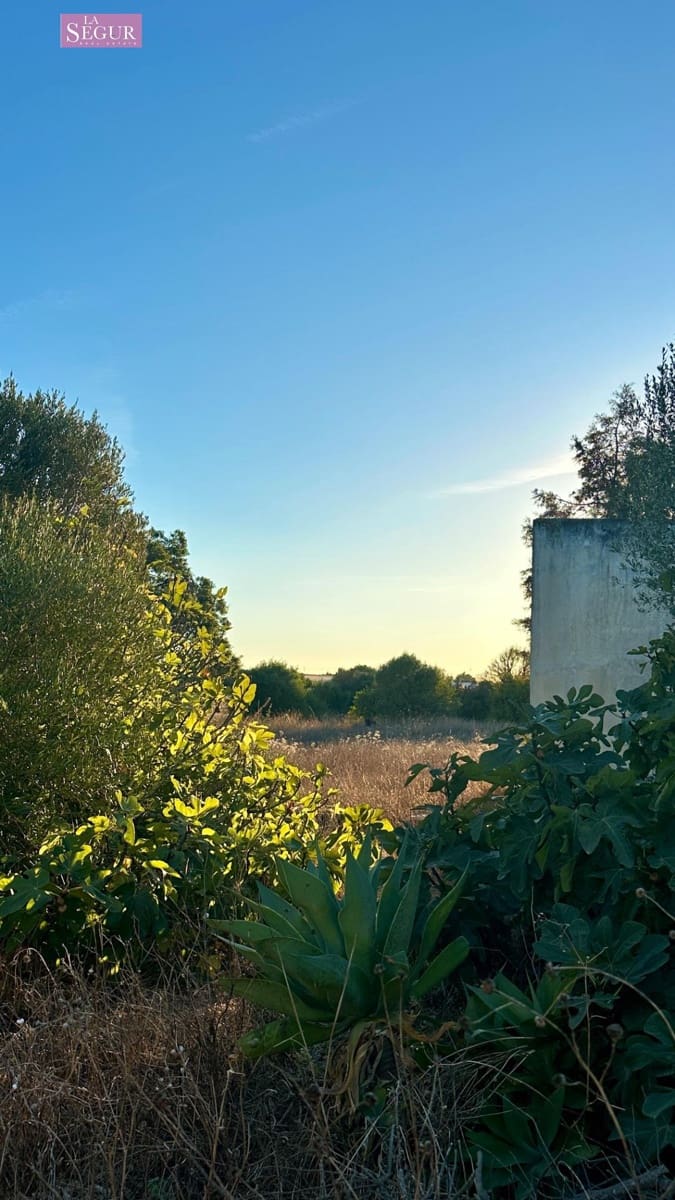 6 bedroom Finca/Country House for sale in Chiclana de la Frontera with pool - € 590,000 (Ref: 10129448)