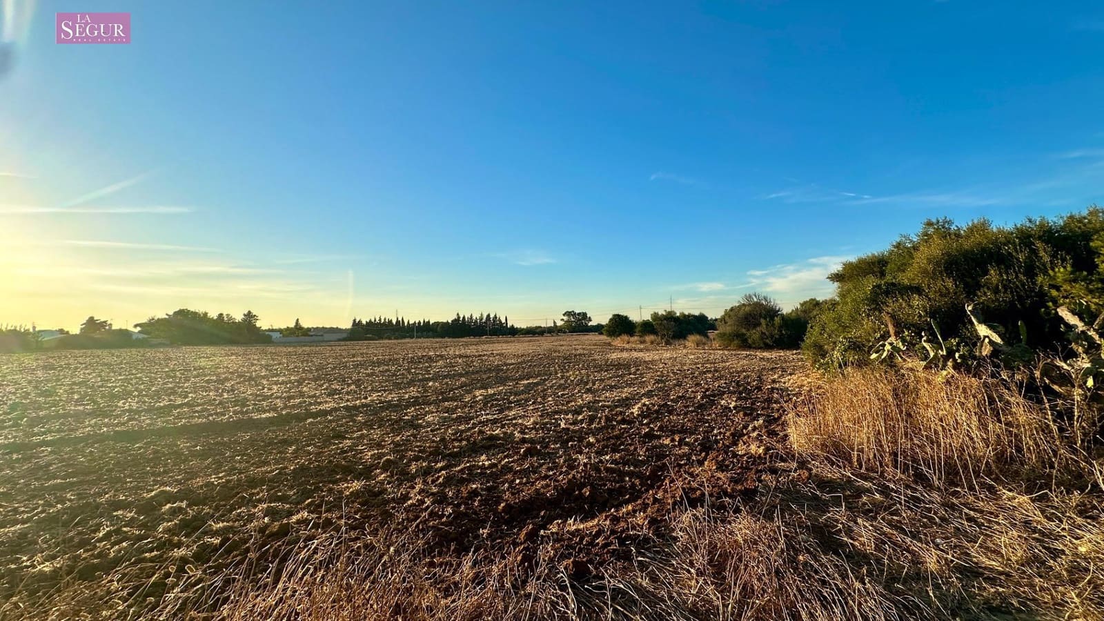 6 bedroom Finca/Country House for sale in Chiclana de la Frontera with pool - € 590,000 (Ref: 10129448)