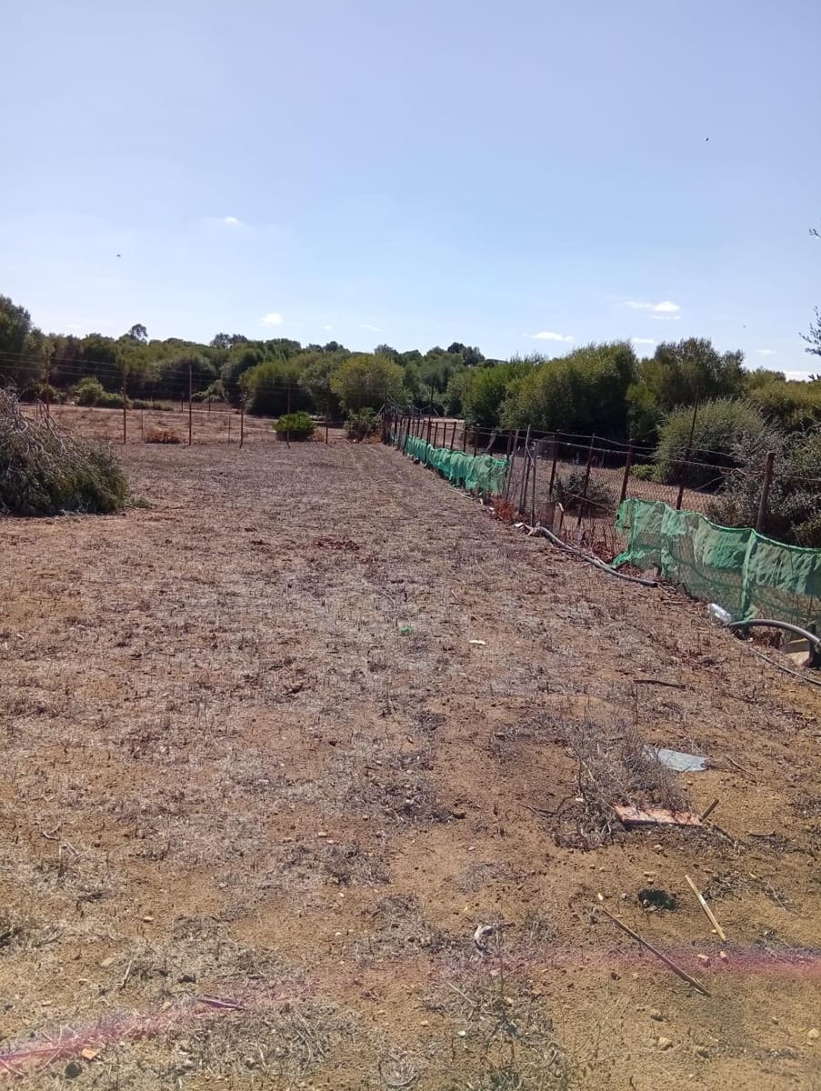 4 sypialnia Finka/Dom wiejski na sprzedaż w Benalup z basenem garażem - 525 000 € (Ref: 10171593)
