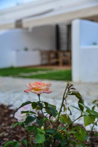 2 sypialnia Dom szeregowy na kwatery wakacyjne w Vejer de la Frontera z basenem - 840 € (Ref: 4515061)