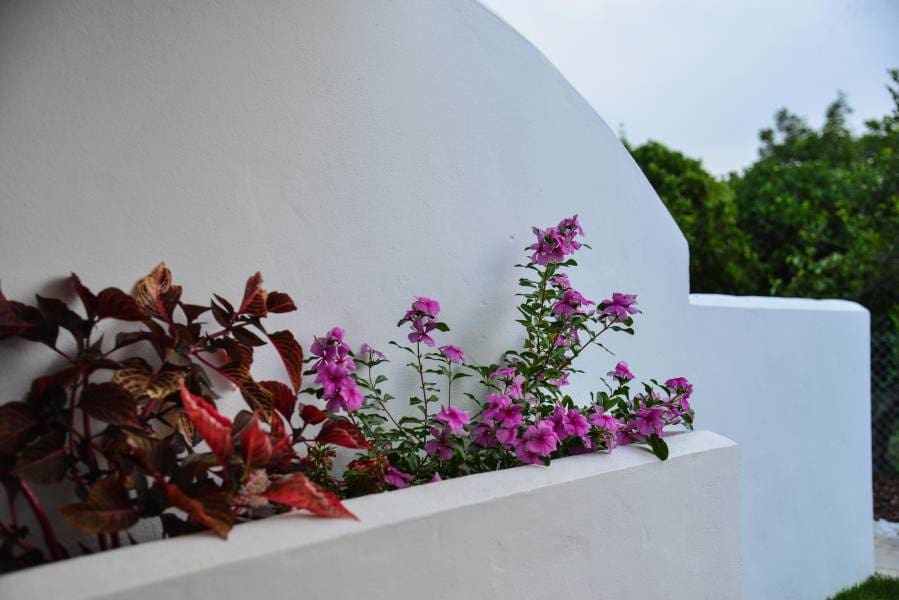2 sypialnia Dom szeregowy na kwatery wakacyjne w Vejer de la Frontera z basenem - 840 € (Ref: 4515061)