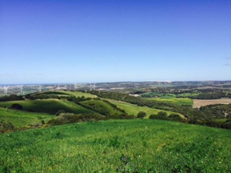Finca/Maison de Campagne à vendre à Vejer de la Frontera - 300 000 € (Ref: 4515081)